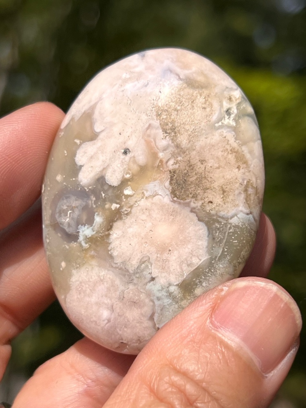 Green (4) cherry agate Palmstone |  Crystal